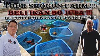 BELANJA HABISKAN RATUSAN JUTA !!! TOUR SHOGUN FARM !!! BELI IKAN 50 JUTA !!!