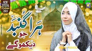 Hara Gumbad Jo Dekhu Gay | By Momal Parvize | Special Nasheed | 2024