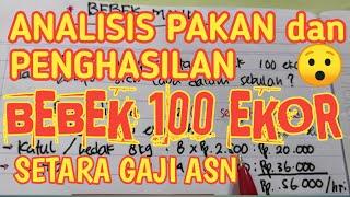 ANALISA PAKAN DAN  LABA BEBEK PETELUR 100 EKOR | RANSUM BEBEK PETELUR 100 EKOR | BEBEK 100 EKOR