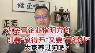 大力发展公有制经济；加快统一大市场建设；给民营企业家脖子上套绞索