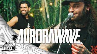 Aurorawave - Stratosphere (Live Music) | Sugarshack Sessions