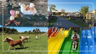 [Eng Sub] 연년생 남매 제주 가족여행 브이로그 | 스타빌 캠핑살이·첫 글램핑 | 갈치조림·BBQ·초당옥수수 아포가토 | 뽀로로파크·양떼목장·터틀락 카페