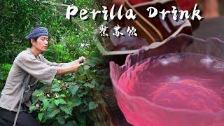 Recreate a Song Dynasty Summer Beverage: Perilla Drink - The Ancient Secret to Cool Off