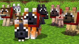 9 New Minecraft Wolves