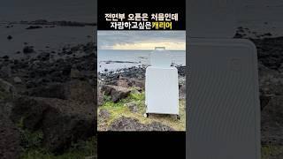 전면오픈캐리어 자랑 #유료광고