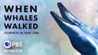 When Whales Walked: Journeys in Deep Time (2019) | Full Documentary