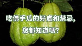 吃佛手瓜的好處和禁忌,您都知道嗎?