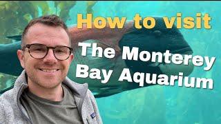 What to see at the Monterey Bay Aquarium