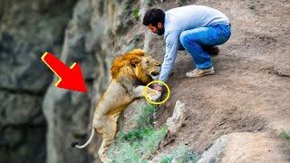 حيوانات طلبت المساعدة من البشر || واللحظة دي أبكت الملايين!" 