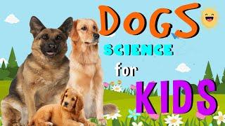 Dogs | Science for Kids