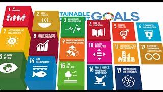 Priorities for the implementation of the 2030 Agenda