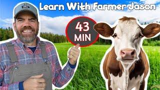 Help Farmer Jason Find The New Cow! - (Fun Educational Video For Toddlers & Preschoolers)