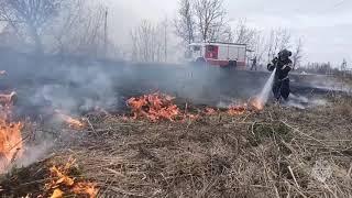 Телеканал Регион 67 - Более миллиона рублей штрафов должны заплатить смоляне за поджог сухой травы