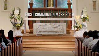 Vietnamese Martyrs Church || First Communion Mass 2019