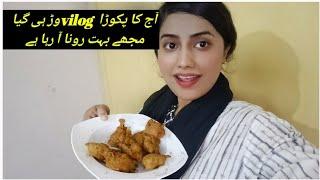 aj ka pakora vlog wer geia muje buht rona aya