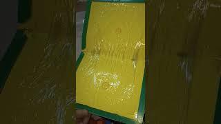 Rat Glue Pad Mouse & Rat Trap Sticky Glue Pad #youtubevideo  #youtubeshorts #satisfyingvideo