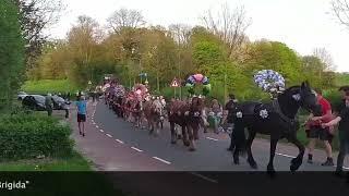 Sint Brigida Denhalen 2024 - Noorbeek