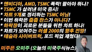 [오늘의 미국주식뉴스] 엔비디아, AMD 팔아야 하나? / 차트 9개로 정리하는 TSMC 어닝 / 차트가 보여주는 러셀 2000 향후 전망 / 테슬라 사이버트럭, 포드 픽업 제쳤다