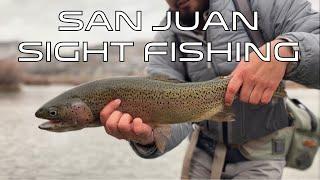 SIGHT FISHING #sanjuanriver #flyfishing #flyfishingjunkie