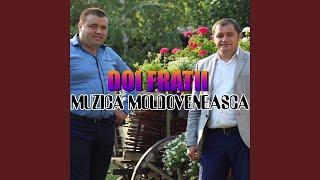 Muzica Moldoveneasca