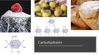 Carbohydrates