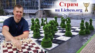 Еженедельная Блиц Арена 5+0 #shorts #chess #lichess #шортс