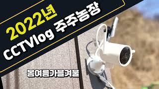 주말 농막 CCTVlog 주말 농장 계절변화 한눈에! 홍천 사계절