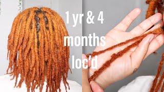 16 MONTH LOC UPDATE + CLOSE UP | let's talk y'all!