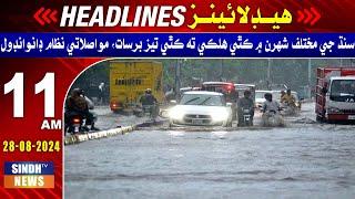 11 AM Headlines l 28 August 2024 | Sindh TV News