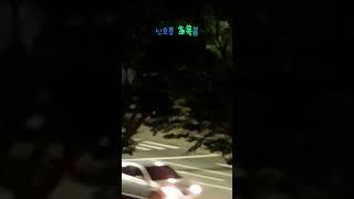 신호등 빨간불