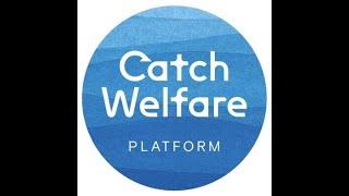 Catch Welfare Platform Conference: Christine Xu, Aquatic Life Institute