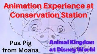 Animation Experience at Conservation Station - Animal Kingdom Disney World -  Sketching Pua the Pig