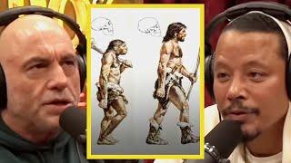 Joe Rogan: "Who's More Evolved?"