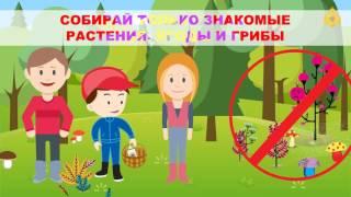 Правила безопасного поведения в лесу для детей