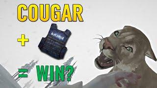 Facing the Cougar FULLY ARMORED: Does it help?