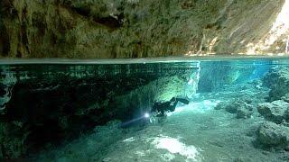 The Blind Cavefish | JONATHAN BIRD'S BLUE WORLD