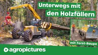 Holzfäller Doku mit GJ-Forst | Highlander Harvester und Alther Forstraupe bei der Holzernte