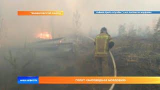 Горит «Заповедная Мордовия»Горит «Заповедная Мордовия»