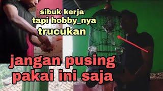 bagi kaum pekerja yang hobby trucukan ,, ini perawatan nya di jamin trucukan tetap gacor