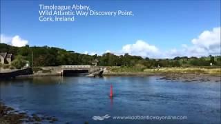 Timoleague Abbey, Wild Atlantic Way, Cork, Ireland