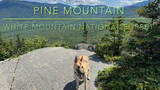 Pine Mountain /White Mountain National Forest /52WAV