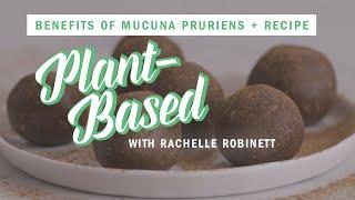 Mucuna Pruriens Benefits + Bliss Ball Recipe | Plant-Based | Well+Good