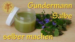 Gundermann-Salbe selber machen