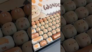 Akko Bun Wonderland keycap set  #akko #keycaps #fyp #youtubeshorts #keyboard