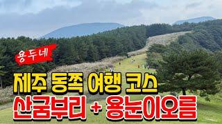 제주 동쪽 여행코스 억새 장관 산굼부리 + 용눈이오름