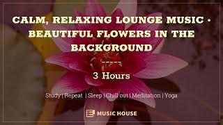 CALM, RELAXING LOUNGE MUSIC • BEAUTIFUL FLOWERS IN THE BACKGROUND • 3 HOURS