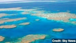 U.S. Navy Jets Drop 4 Unarmed Bombs on Great Barrier Reef