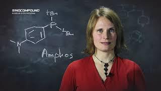 The essentials in a synthetic chemist's toolbox | Episode 1 | Pd-catalysed cross-coupling reactions