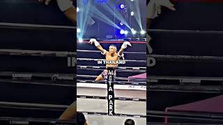 Why Muay Thai Doesn’t Work In MMA