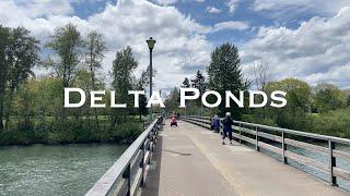 SPRING WALK!: Delta Ponds City Park- Eugene, Oregon